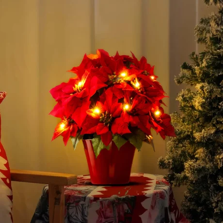 Radiant Ruby Poinsettia