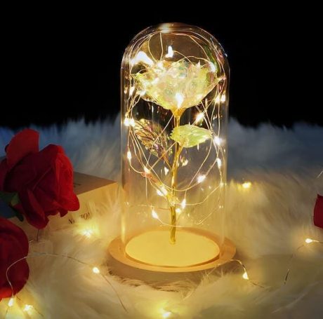 Enchanted Galaxy Rose ?C Eternal Gift